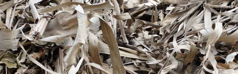 dried banana leaves for shrimp